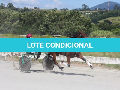 LOTE 002 - CANTIGA SR  (Ventre com Cobertura Exclusiva)