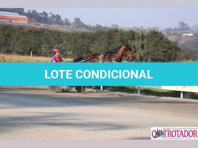 LOTE 002 - CANTIGA SR  (Ventre com Cobertura Exclusiva)