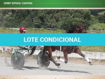 LOTE 002 - CANTIGA SR  (Ventre com Cobertura Exclusiva)