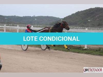 LOTE 002 - CANTIGA SR  (Ventre com Cobertura Exclusiva)