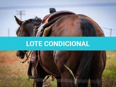 LOTE 004 - LENA FIRE SAND JVM