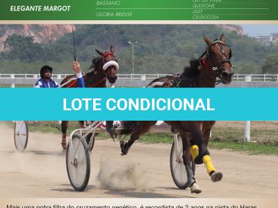 LOTE 006 - HG M BRULÉ (Ventre com Cobertura Exclusiva)