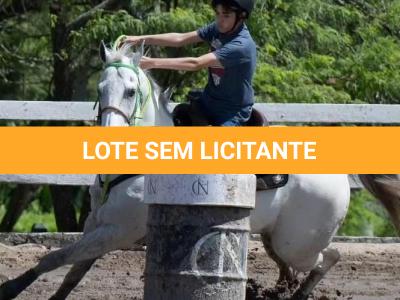 LOTE 010 - EMBRIÃO A EFETIVAR (CASTANHO RED x DAKAR TA FAME)