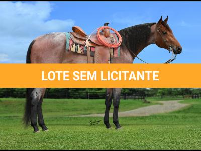 LOTE 014 - BLUE MELODY