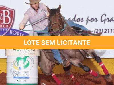 LOTE 011 - EMBRIÃO EFETIVADO - BLACKSMITH FAME BG x BUENA DIAMOND JPJ