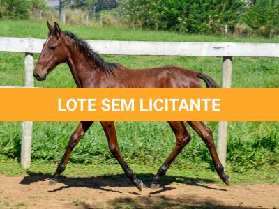 LOTE 012 - VRC SOBERANO