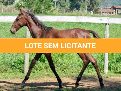 LOTE 012 - VRC SOBERANO