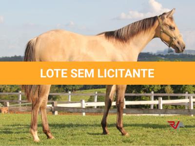 LOTE 011 - REYDIOACTIVE JPJ