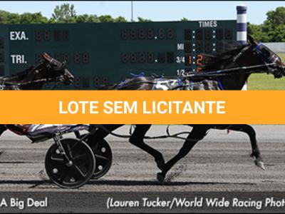 LOTE 200 - I’M A BIG DEAL (Cobertura)