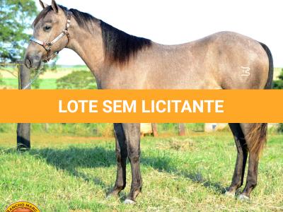 LOTE 021 - SMART PISTOL REY B3