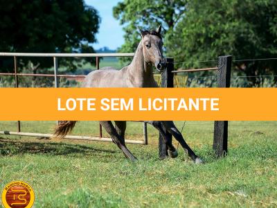 LOTE 021 - SMART PISTOL REY B3