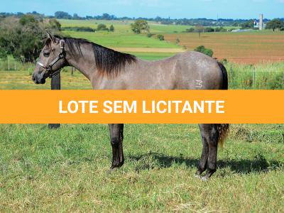 LOTE 021 - SMART PISTOL REY B3