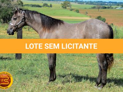 LOTE 021 - SMART PISTOL REY B3