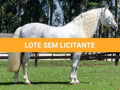 LOTE -100 - AMBICIOSO DA ARKAFLA (COBERTURAS)