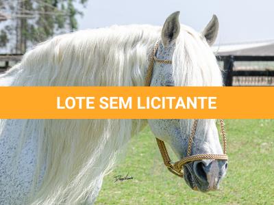 LOTE -100 - AMBICIOSO DA ARKAFLA (COBERTURAS)
