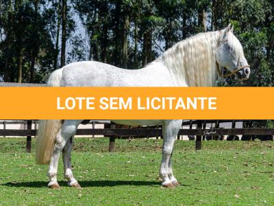 LOTE -100 - AMBICIOSO DA ARKAFLA (COBERTURAS)