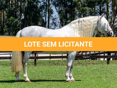 LOTE -100 - AMBICIOSO DA ARKAFLA (COBERTURAS)