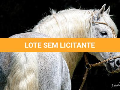 LOTE -100 - AMBICIOSO DA ARKAFLA (COBERTURAS)
