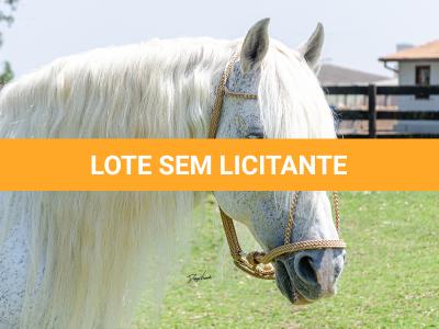 LOTE -100 - AMBICIOSO DA ARKAFLA (COBERTURAS)