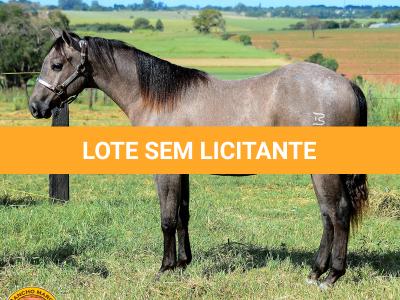 LOTE 021 - SMART PISTOL REY B3