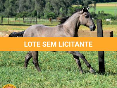 LOTE 021 - SMART PISTOL REY B3