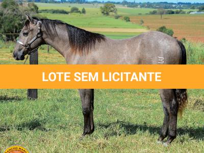 LOTE 021 - SMART PISTOL REY B3