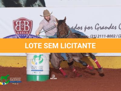 LOTE 300 - BLACKSMITH FAME BG (Coberturas)