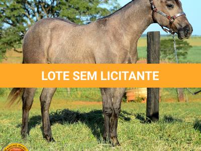 LOTE 021 - SMART PISTOL REY B3
