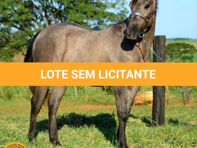 LOTE 021 - SMART PISTOL REY B3