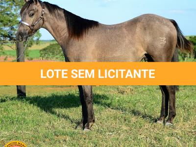 LOTE 021 - SMART PISTOL REY B3