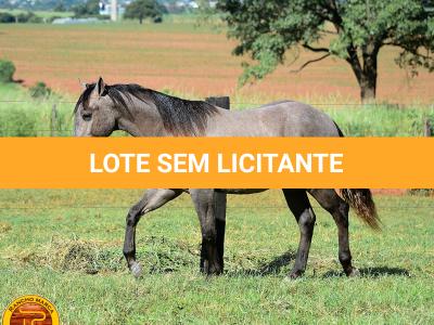 LOTE 021 - SMART PISTOL REY B3