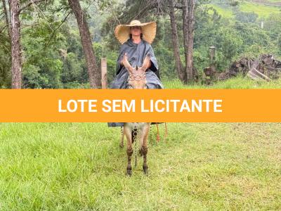 LOTE 011 - SINCERA BP