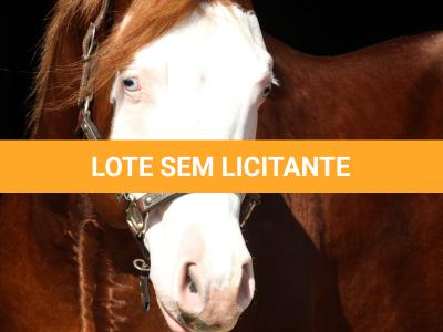 LOTE -200 - SMART CHIC DUNIT (Coberturas)