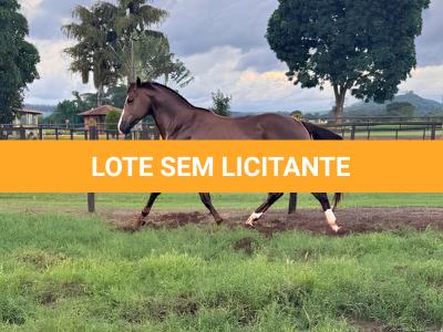 LOTE 011 - MCI PETER LEO FAME