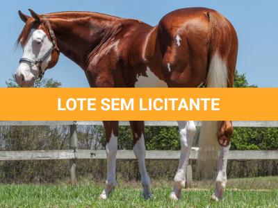 LOTE -200 - SMART CHIC DUNIT (Coberturas)