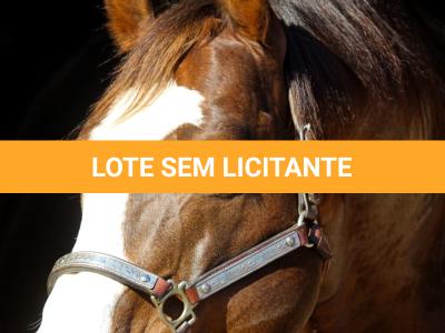 LOTE -100 - SECOND AMENDENT (Coberturas)