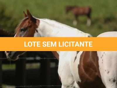 LOTE 017 - LEASE CANNONAZE RS - TE