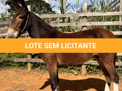 LOTE 007 - POESIA DO BANDEIRA