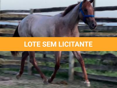 LOTE 009 - PRINCESS JAY KEYS