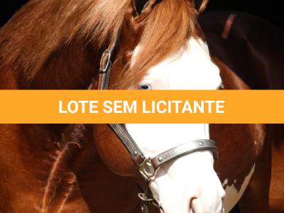 LOTE -200 - SMART CHIC DUNIT (Coberturas)