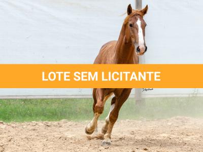 LOTE 018 - FANTASMA ESM DA PPMP