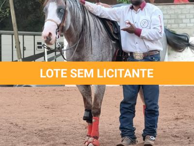LOTE 022 - PLAY RED GUN GMW