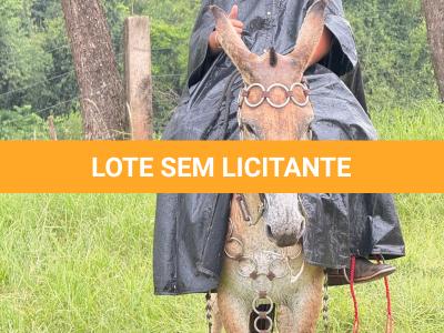 LOTE 011 - SINCERA BP