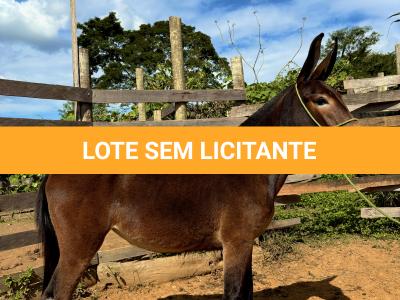 LOTE 007 - POESIA DO BANDEIRA