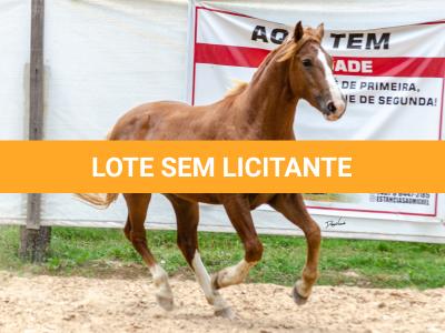 LOTE 018 - FANTASMA ESM DA PPMP