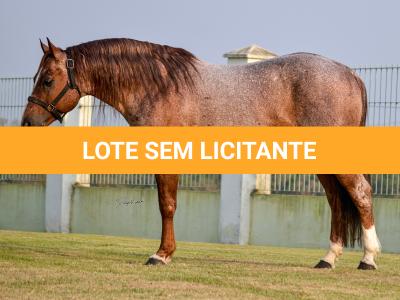 LOTE 015 - JACK DUAL KEYS RM