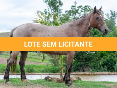 LOTE 003 - RAMON 118 OREADA (2x1)