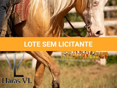 LOTE 021 - DEREK COUNTRY GUN