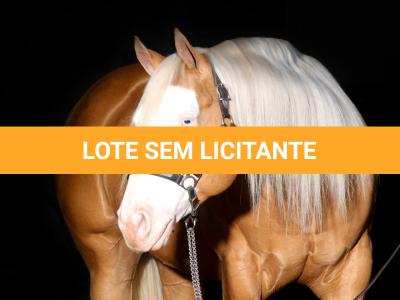 LOTE -200 - COLORADO TRUCK - Coberturas