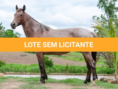 LOTE 003 - RAMON 118 OREADA (2x1)